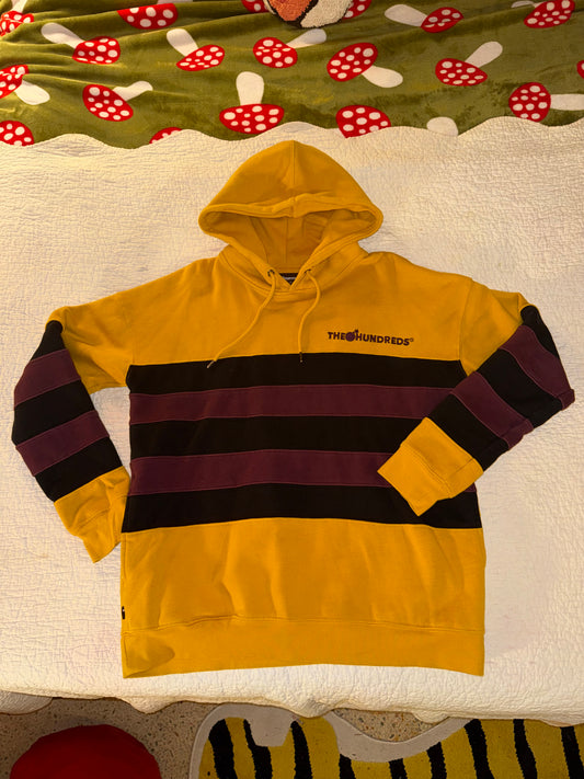 The Hundreds - Yellow Striped Embroidered Sweatshirt Hoodie with Burgundy and Brown Stripes