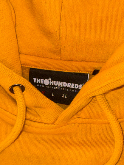The Hundreds - Yellow Striped Embroidered Sweatshirt Hoodie with Burgundy and Brown Stripes